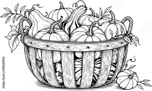 Harvest Basket with Pumpkins and Gourds Black and White Illustration