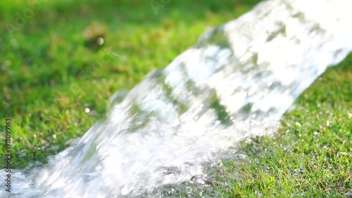 Water flowing over green grass in bright sunlight in native habitat range slow-motion