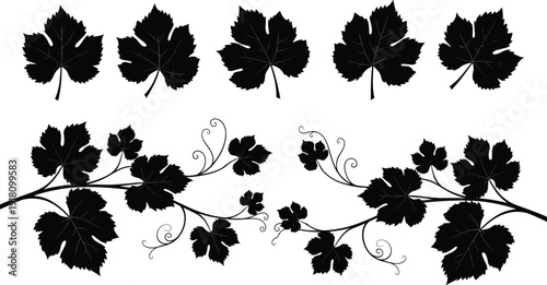 Set of black grape leaf silhouettes and vine branches with curly tendrils for wine labels garden decoration and organic patterns