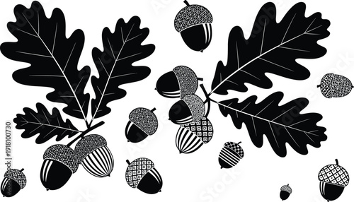 Set of hand drawn oak leaf and acorn icons, autumn nature elements, minimalist black and white forest foliage vector illustrations