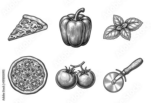 Vintage pizza and ingredients collection featuring hand drawn engraving style illustrations of a slice whole pie bell pepper basil tomatoes and a cutter