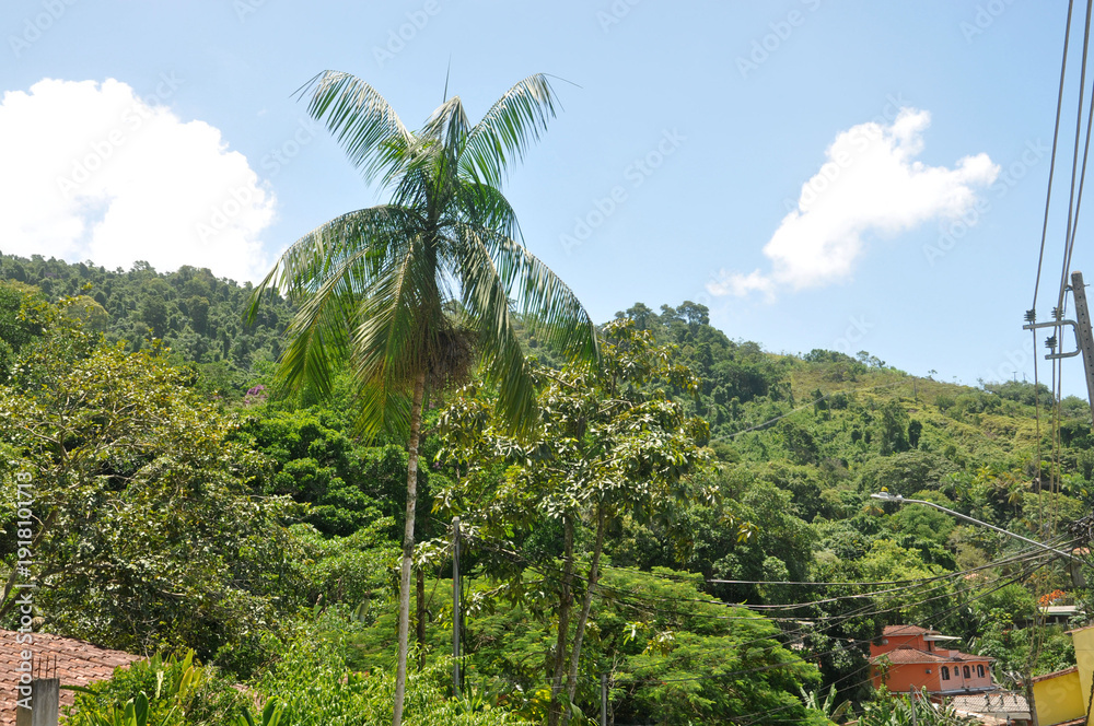 Fototapeta premium Grande beach - Paraty - rio de janeiro- Brazil 