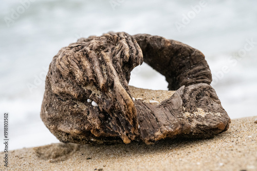 Photos a weathered, hollow piece of driftwood resting on a sandy beach against a blurred background of crashing ocean waves