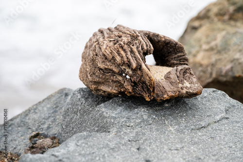 Obraz na plátně a weathered piece of hollow driftwood resting on a sandy beach, framed against a background of green waves and white foam crashing on the shore