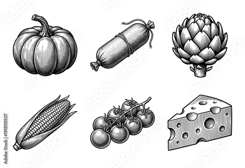 Set of hand drawn vintage food illustrations featuring pumpkin sausage artichoke corn cherry tomatoes and swiss cheese in woodcut engraving style