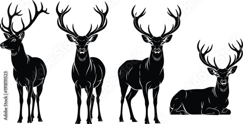 Large collection of diverse black tree silhouettes including deciduous and coniferous species isolated on white background for landscape architecture and forest nature graphic design.