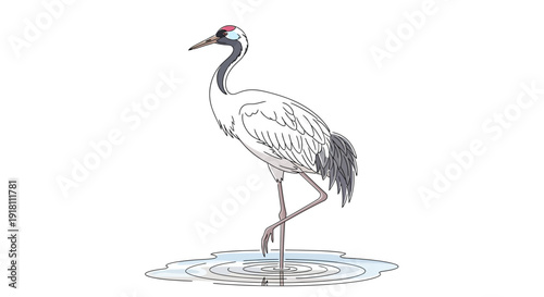 Crane Bird Standing on One Leg.