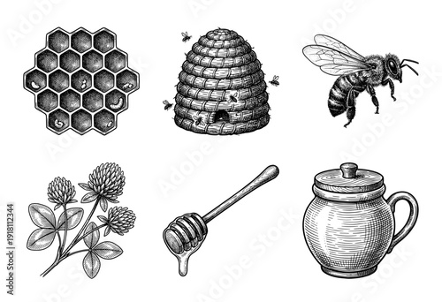 Vintage hand drawn engraving style beekeeping and honey production set featuring bees hive honeycomb clover and pottery