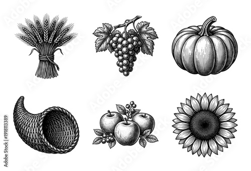 Vintage engraving style harvest collection featuring wheat stalk, grapes, pumpkin, cornucopia, apples, and sunflower illustrations.
