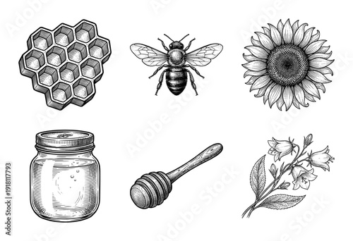 Vintage engraving style honey and beekeeping set featuring a honeybee, honeycomb, sunflower, jar, dipper, and wildflowers.