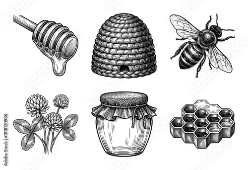 Set of vintage woodcut style honey production illustrations featuring a bee, beehive, honeycomb, clover, and jar
