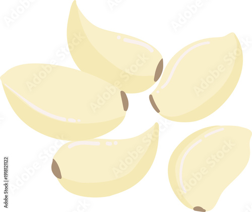 건강식 요리재료 노란색 뿌리열매인 마늘