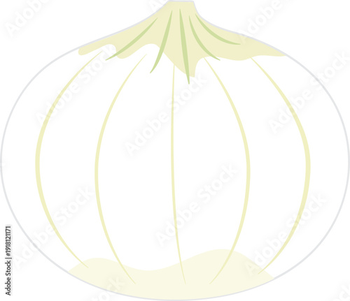 건강하고 신선한 음식재료인 양파