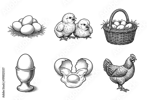 Set of vintage woodcut style chicken and egg illustrations including chicks, a hen, a basket of eggs, and a cracked egg