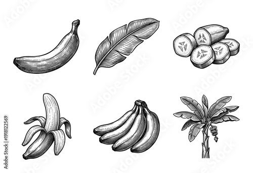 Vintage woodcut style banana fruit collection featuring whole fruit, peeled banana, slices, leaf, bunch, and tropical tree illustrations.