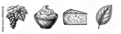 Vintage hand drawn engraving of food ingredients featuring grapes, cream bowl, cheese wedge, and basil leaf