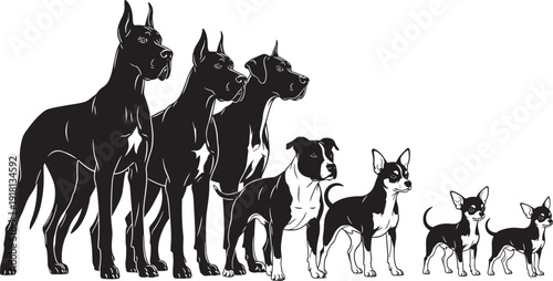 Comprehensive Black Silhouette Collection of Various Dog Breeds Including Great Danes Pit Bulls and Chihuahuas Standing in a Row Isolated on a White Background
