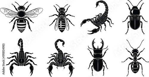 Black vector silhouette set of diverse insects and arachnids including honey bees wasps scorpions beetles and ants for biology nature and pest control branding