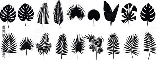 Black vector silhouette set of diverse tropical palm leaves and monstera fronds for summer exotic nature botanical patterns and jungle greenery theme branding