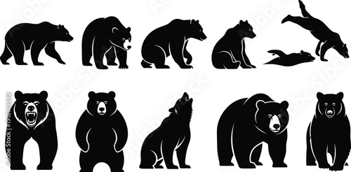 Black vector silhouette set of grizzly and brown bears in various poses including walking standing roaring and sitting for nature wildlife and park branding