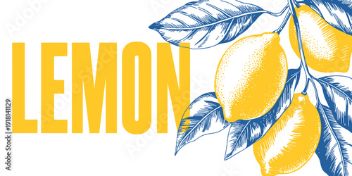 Lemons on a branch with leaves illustration in yellow and blue colors