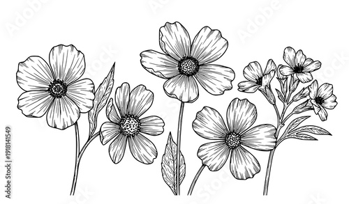 Black and White Wildflower Line Art Set – Detailed Botanical Floral Outline Vector Illustration on White