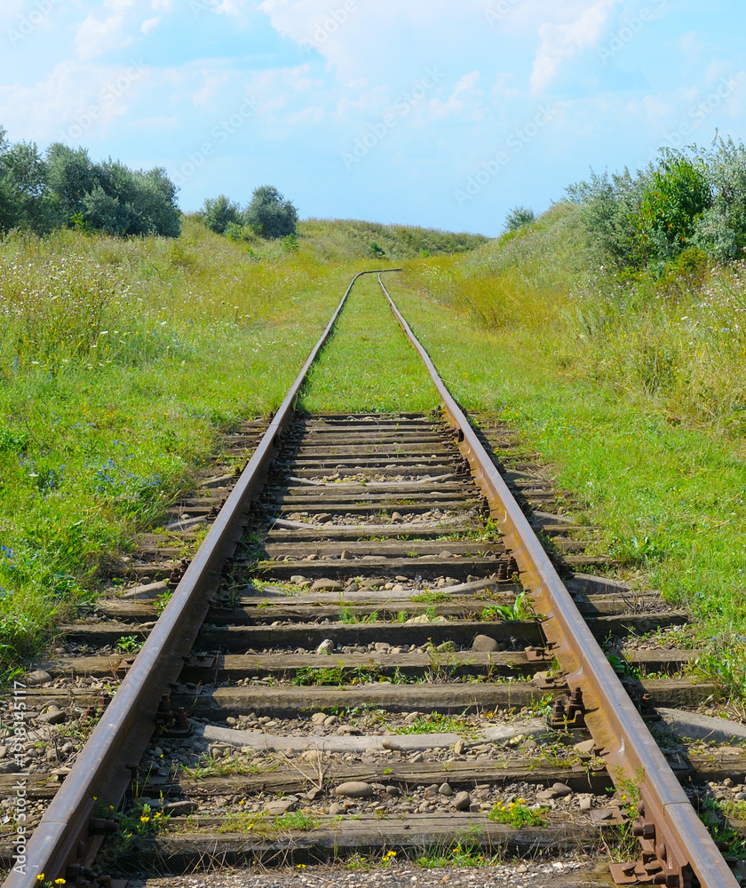 Obraz premium Old abandoned railway tracks disappearing into the distance among green fields
