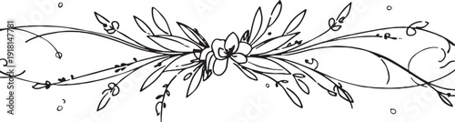 Sketchy hand drawn floral divider with organic vine swirls and botanical leaves for natural design