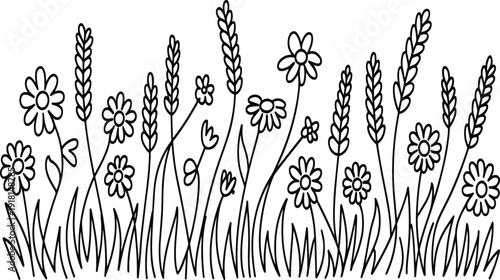 Black and white line of wildflowers and wheat stalks in a field line wildflowers daisies desi