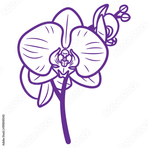 A single purple orchid flower with buds and a stem drawn with a clean minimalist outline style isolated on a white background representing beauty and elegance in nature