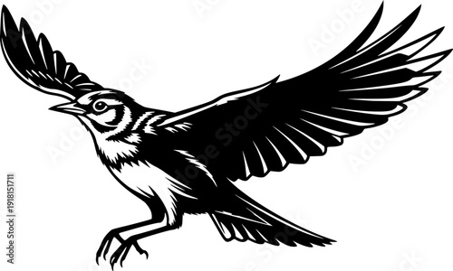 skylark silhouette line art vector illustration with a white background
