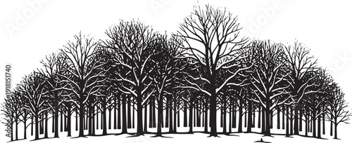 Silhouette of a Dense Forest with Bare Winter Trees vector illustration