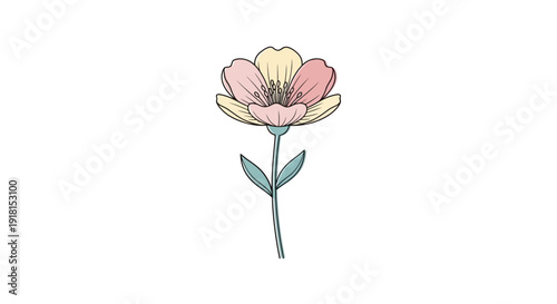 Pink tulip bouquet isolated on white background with floral beauty and romance