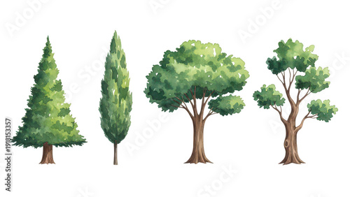 Collection of watercolor trees isolated on transparent background for nature and landscape design