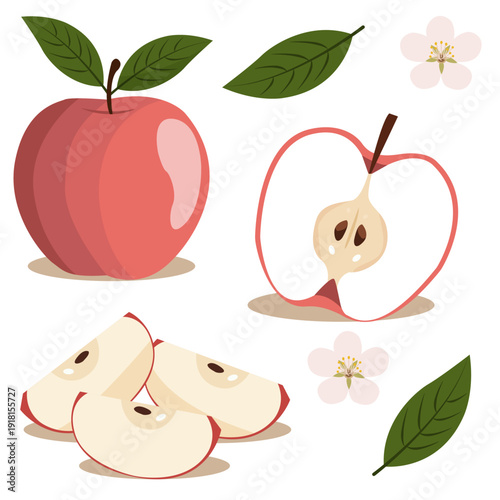 set with red apples, apple blossoms, and apple slices