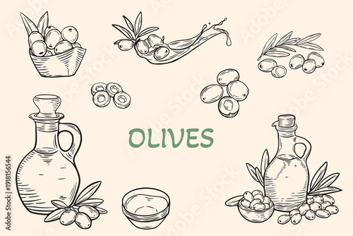 Olives and Olive Oil Hand Drawn Vector Set, Mediterranean Botanical Line Art Illustration