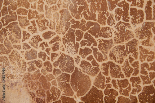 giraffe skin look alike wall texture