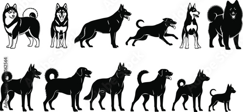 Collection of dog silhouettes in different poses and breeds, black animal illustration set representing pets, domestic animals, canine diversity, movement, and companionship concept