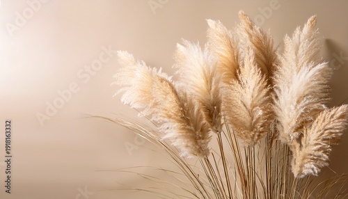 Wallpaper Mural a cluster of pampas grass against a light beige backdrop showcasing their fluffy texture and delicate elegance Torontodigital.ca