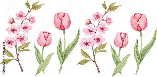 Pink tulip and cherry blossom flowers botanical spring floral cartoon vector illustration collection isolated set