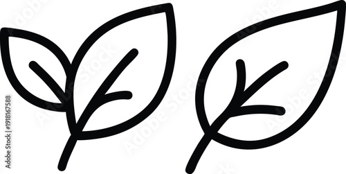 Simple line drawing of two leaves