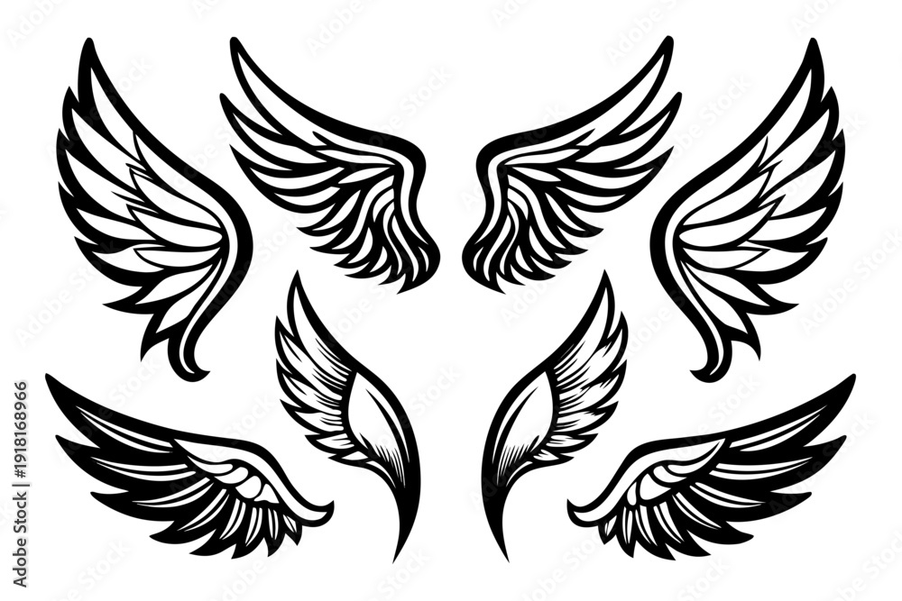 Obraz premium A set of black and white wing illustrations in various styles and positions