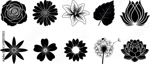 Set of Decorative Flower and Leaf Silhouettes Featuring Rose Lily Daisy and Lotus Icons