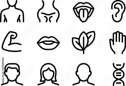 A collection of stylized line art icons representing human anatomy and biology concepts