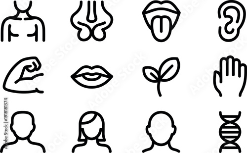 Collection of human body part and science icons representing anatomy health and biology