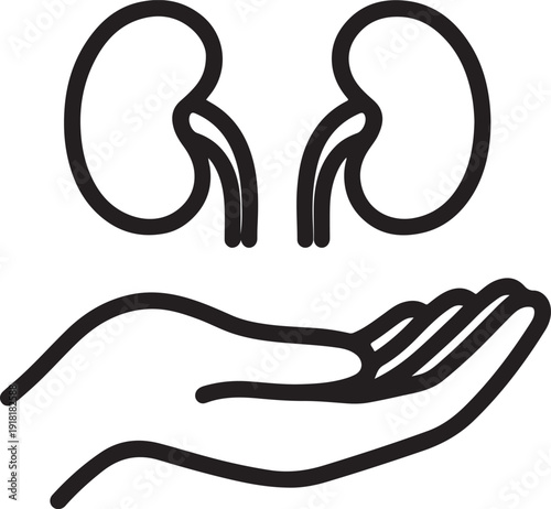 Human kidney anatomy internal organ icon