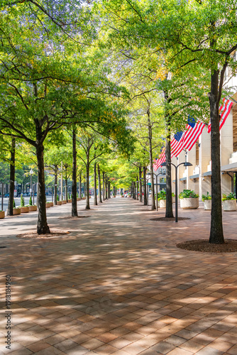 Fotografia Downtown Washington DC USA pedestrian street with trees and flags
