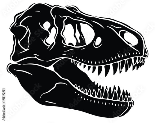 A black and white illustration of a dinosaur skull with sharp teeth
