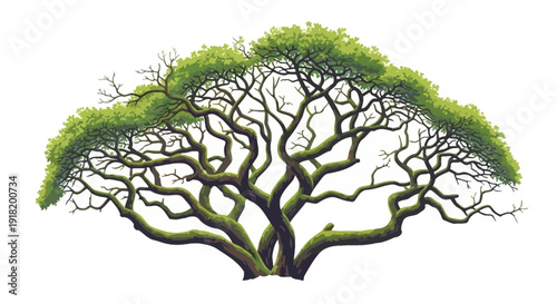 A vibrant digitally painted image of a large spreading green tree