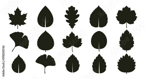 Black silhouettes of various leaf shapes arranged in a grid pattern